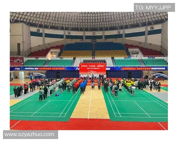 重庆排球队的奋斗与荣耀：一段排球精神的真实纪实之旅