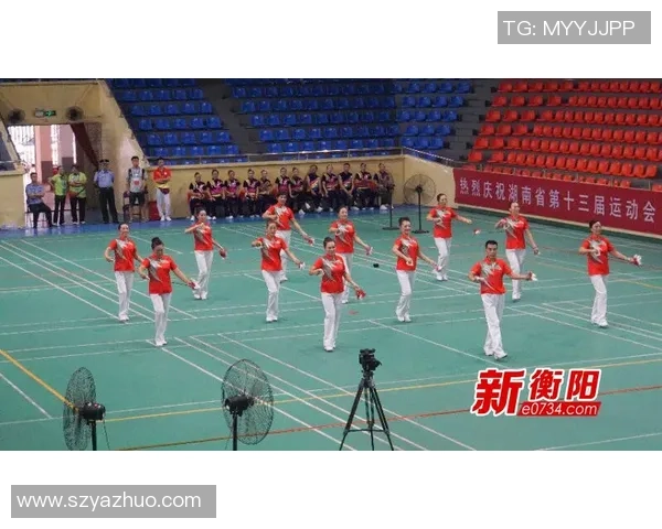 南京排球队在钻石联赛中的拼搏历程与辉煌成就全景回顾