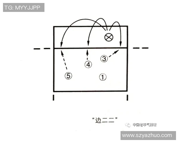 成都排球队整体压制战术解析与实战应用探讨